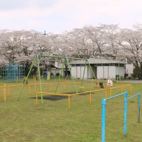 hanami20