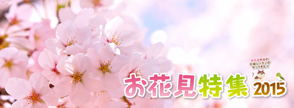 大隅お花見特集2015　鹿屋　志布志　曽於