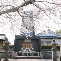 hanami19_1