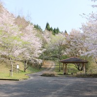 hanami24_1